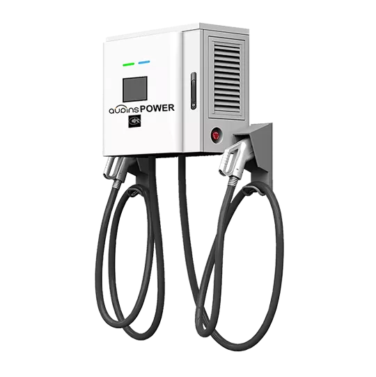 Perché scegliere il nostro AUPINS Power Charge Pro?