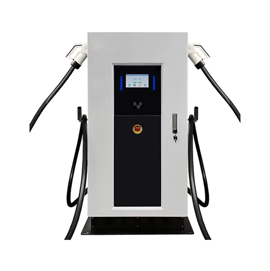 Perché scegliere il nostro Eco EV Charger?